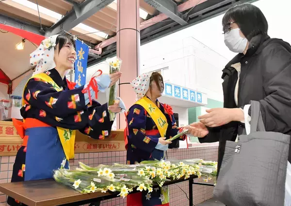 カニ汁や丼など海鮮グルメや水仙配布盛況　水仙・カニフェア始まる　福井県越前町