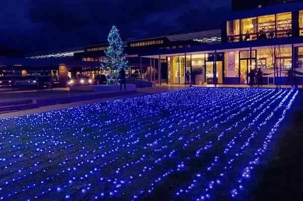 敦賀駅でイルミネーション「クリスマスマーケット」開幕　12月20、21日には飲食ブースやキッチンカーも出店