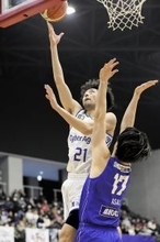 福井ブローウィンズ、敵地で2連勝　青森に72―63　B2第19節