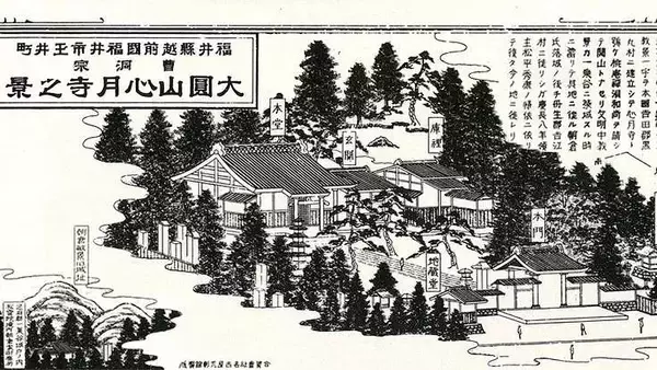 朝倉孝景ゆかりの寺を未来へ…福井の大圓山心月寺、本堂の補強工事向けクラファン　境内の赤松を再利用、家紋入りのブレスレットに