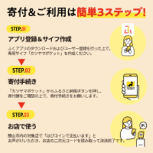 勝山市ふるさと納税に現地で使えるデジタル地域通貨　寄付後すぐに利用可能