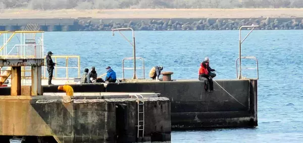 「もはや無法地帯」…死亡事故発生後も多くの釣り客　立ち入り禁止の福井港、関係者が訴える危機感