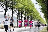 「風情漂う旧市街地、新緑の並木道を1730人快走　トリムマラソン2026　福井県あわら市」の画像1