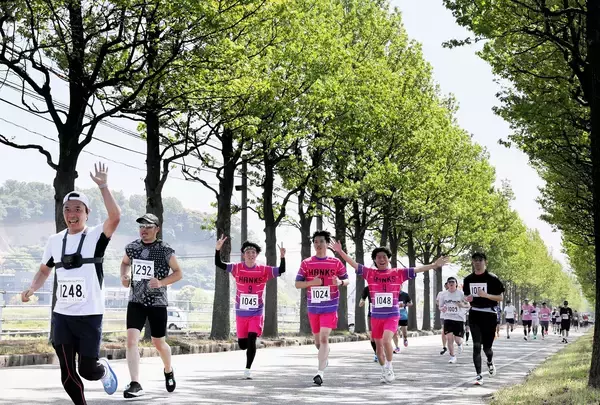 風情漂う旧市街地、新緑の並木道を1730人快走　トリムマラソン2026　福井県あわら市