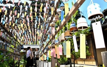 古民家に風鈴3000個、涼やかな音色響かせる　福井県越前町の古窯博物館で「陶ふうりん」始まる