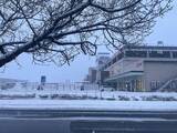「成人の日、福井県内で雪いつまで降る?　1月12日、地域別の予想降雪量一覧」の画像1
