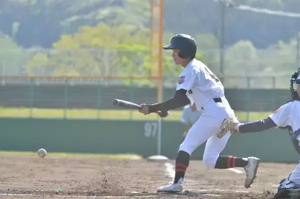 敦賀が猛攻で5回コールド勝ち、敦賀vs武生東の試合経過　2026春の高校野球福井県大会1回戦