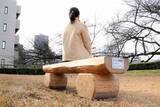 「万博の関西パビリオン前に設置…福井県産木材のベンチ、福井城址へ移設　注目集めたフクイラプトル模型も県こども家族館に」の画像1