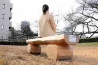 万博の関西パビリオン前に設置…福井県産木材のベンチ、福井城址へ移設　注目集めたフクイラプトル模型も県こども家族館に