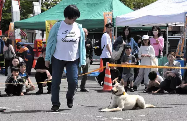 元野犬、きびきびと広報活動　警察協力犬デビュー「百点満点」　福井県鯖江市