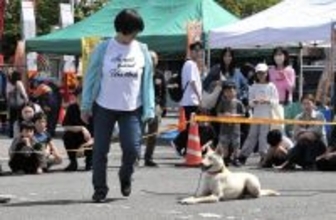 元野犬、きびきびと広報活動　警察協力犬デビュー「百点満点」　福井県鯖江市