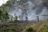 「自宅の裏山で枝木を燃やした火が広がり…福井県大野市の山中で火事　50分後鎮火、けが人なし」の画像1