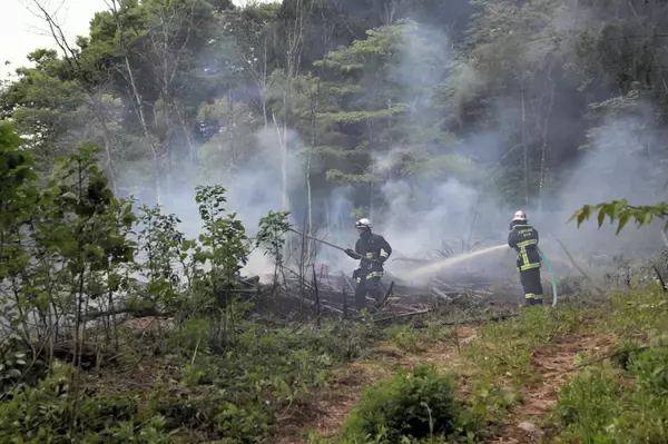 自宅の裏山で枝木を燃やした火が広がり…福井県大野市の山中で火事　50分後鎮火、けが人なし