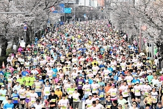 全国ランニング大会100撰に「ふくい桜マラソン」　2年連続選出、福井県民のおもてなし高評価