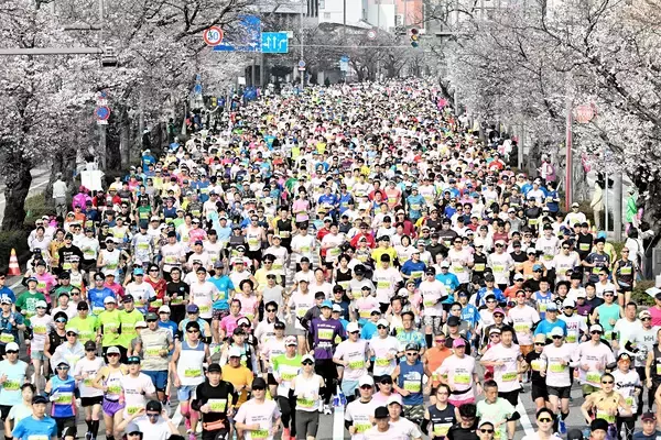 全国ランニング大会100撰に「ふくい桜マラソン」　2年連続選出、福井県民のおもてなし高評価