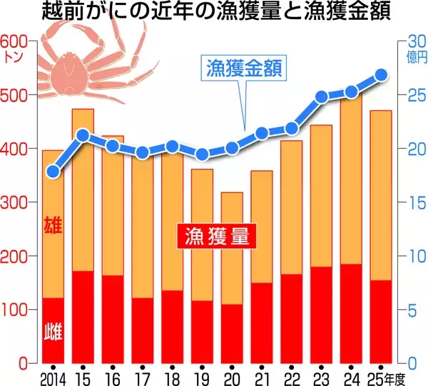 「越前がに5年連続で漁獲金額が最高を更新　「極」の漁獲数や最高値は？　2025年度」の画像