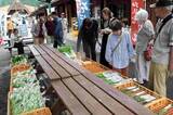「山菜や地場産野菜、和泉地区の旬の味ずらり　新ジャガイモの詰め放題も人気　福井県大野市の道の駅「九頭竜」一帯」の画像1