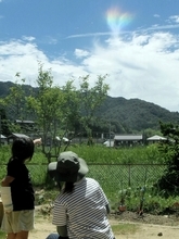 虹色に染まったハート形の雲、園児が気付く　「環水平アーク」の可能性　福井県若狭町