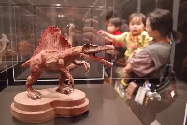 世界的パティシエ制作、チョコレートでリアルな恐竜作品　小山進さん、福井県立恐竜博物館で展示