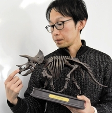 トリケラトプスの新事実が発覚…鼻に特徴的な構造、福井県立大学恐竜学部の教授ら発見