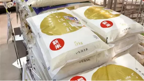 福井県ブランド米「いちほまれ」が4年連続の最上位「特A」　コシヒカリの評価は　2025年産食味ランク