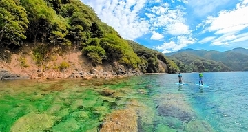 エメラルド色の海、白い砂浜や洞窟…秘境巡るSUPツアー人気　福井県小浜市矢代「海底まで見えて感動した」