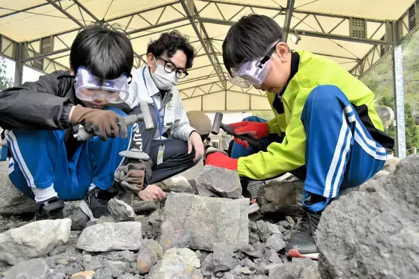 岩石割って化石見つけよう…野外恐竜博物館が再開　専用バス運行　福井県勝山市