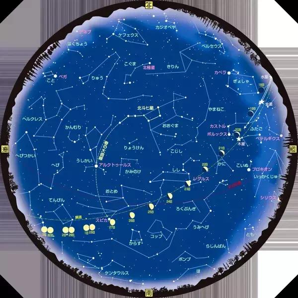 【5月の星空ガイド】ブルームーンは最も小さく見える月、金星は高く　主な天文イベント一覧