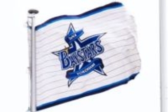 DeNA、社会人野球コーチと異例の契約　OB大野貴洋氏と2軍野手育成コーチで…球団発表