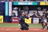 「オリ・太田椋にアクシデント　死球でその場に倒れ…トレーナーに担がれベンチ、場内悲鳴」の画像1