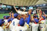 「取手リトルシニアが4年ぶりV　多摩川ボーイズは悲願の頂点届かず…ジャイアンツ杯決勝」の画像1