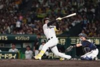 阪神・森下翔太が両リーグトップの7号　被弾の根尾昂は今季初失点…豪快弾に甲子園熱狂