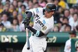 「佐藤輝明、リーグ単独トップの11号　4戦ぶり豪快弾に本拠地熱狂…打撃「セ3冠」キープ」の画像1