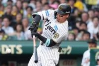 佐藤輝明、リーグ単独トップの11号　4戦ぶり豪快弾に本拠地熱狂…打撃「セ3冠」キープ