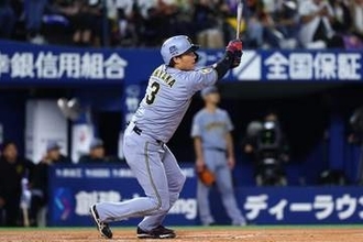 阪神襲来でスタンド“真っ二つ”「おかしいでしょ」　くっきり2色「ハマスタ甲子園」
