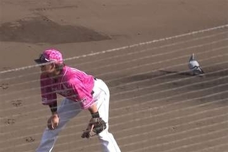 「今年一番の珍事になりそう」　試合途中なのに…まさかの“客”に騒然「危ないですよ」