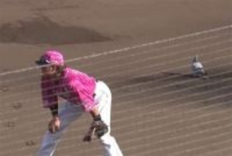 「今年一番の珍事になりそう」　試合途中なのに…まさかの“客”に騒然「危ないですよ」