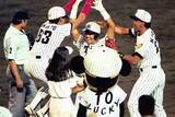 「甲子園の忘れぬ“37分間”「あれ？」　天国から地獄…阪神ファンも乱入し猛抗議した“幻の一発”」の画像1