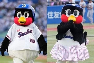 「なんと！」つば九郎＆つばみが“異例の抜擢　人気雑誌の表紙に登場…ファン虜「可愛すぎる」
