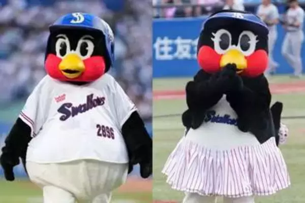「なんと！」つば九郎＆つばみが“異例の抜擢　人気雑誌の表紙に登場…ファン虜「可愛すぎる」