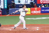 「吉田正尚、オリ戦で衝撃の特大弾　京セラDも大熱狂…大谷翔平も手を挙げ喜ぶ」の画像1