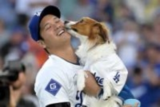 大谷翔平＆デコピンを筆頭に…山本、スネルらも愛犬紹介　MLB公式が“異例”の投稿