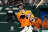 「坂本勇人の一撃→着弾点で発見された“叫び”に「いいね」　全巨人ファンの気持ち“代弁”」の画像1