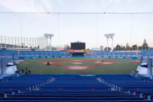 芝生ゼロから一転…たった1日で戻った“日常”　変幻自在のヤクルト本拠地「素敵」