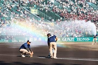 甲子園で早くも話題の斬新ユニ「変わった？」　“微細”な違いが好感「めちゃくちゃ良い」