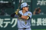 「阪神のドラ1効果が「超超超気持ちいい」　衝撃の「5」に驚愕…“.409”で「縁起いい」」の画像1