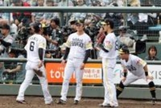 外野スタンドの“名物”にファン困惑「デカすぎる」　審判も協議…年1回の珍光景「むやみに切れない」