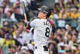 「泳ぎながらも豪快弾「おかしいやろ」　佐藤輝明の曲芸打ちが「意味不やん」」の画像1