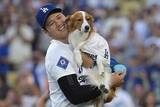 「大反響のデコピン誕生日投稿　LAレポーターに浮かんだ“伝説の犬”「最も有名な犬かも」」の画像1