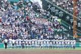 「甲子園準決勝にいた“美女”に騒然「マジでびっくり」　三塁側アルプスに「来てたんや」」の画像1